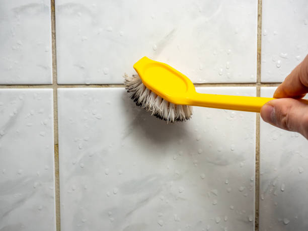 Mold Removal Process in Sutton, NE