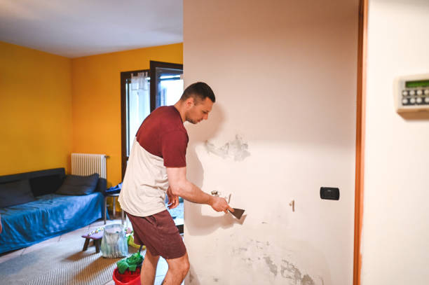 Best Certified Mold Removal  in Sutton, NE